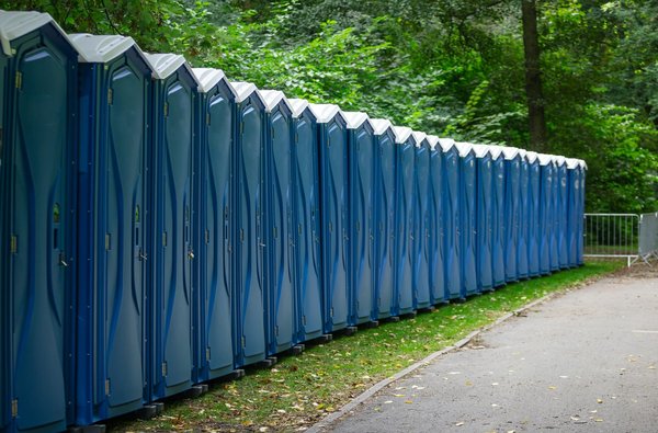 Quelles sont les différentes options de toilettes sèches écologiques disponibles sur le marché ?